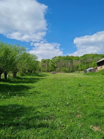 Teren intravilan de vanzare - 3