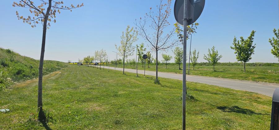 Vile și duplexuri - Riversde Redidence -Ulmi - Joița - 16