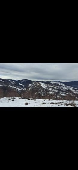 Vand Teren la muntele rece - 2