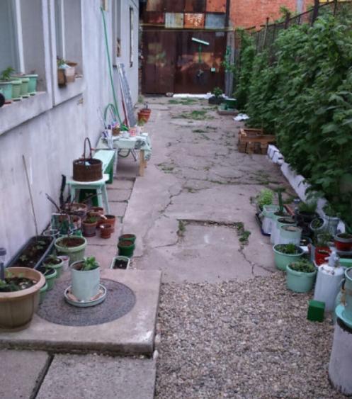 Casa Mihai Bravu -Calea Vitan - 1