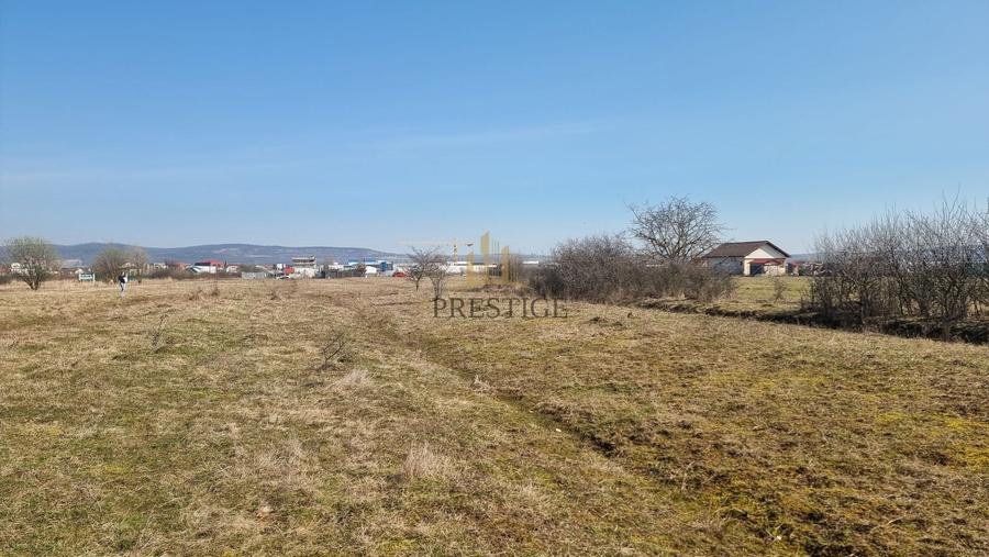 FĂRĂ COMISION | TEREN 1000 MP ȘELIMBĂR ZONA TROIȚĂ | INVESTIȚIE - 4