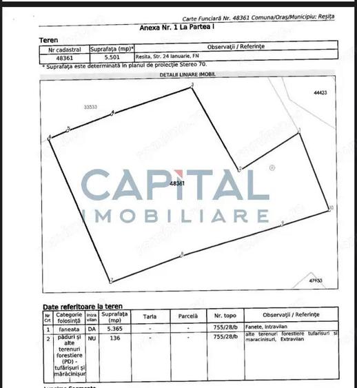 Teren intravilan pe drumul Lupacului 12 euro mp, 13782 mp si 1069 mp extravilan - 2