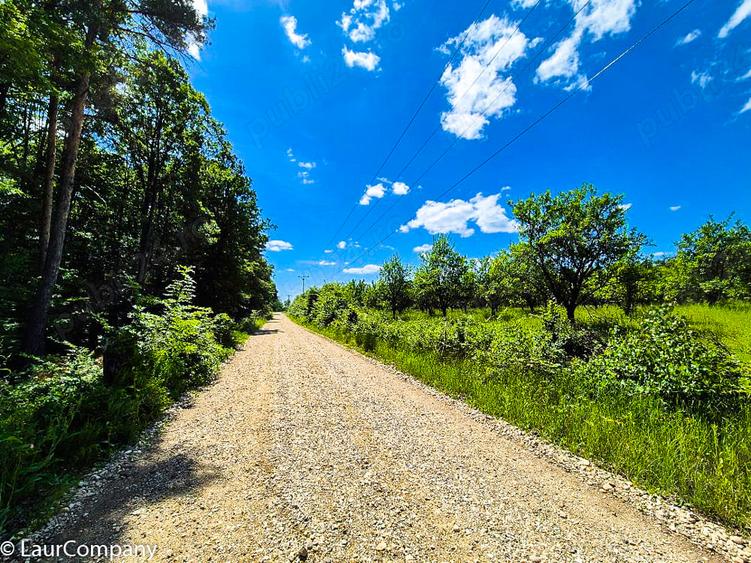 Teren intravilan Cotmeana Arges - 4