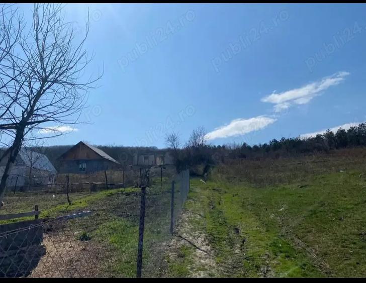 Teren cu casa la stadiul de acoperis si cabanuta - 1