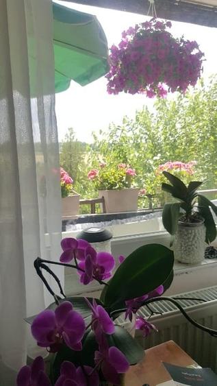 Apartament cu 3 camere de vanzare - 3