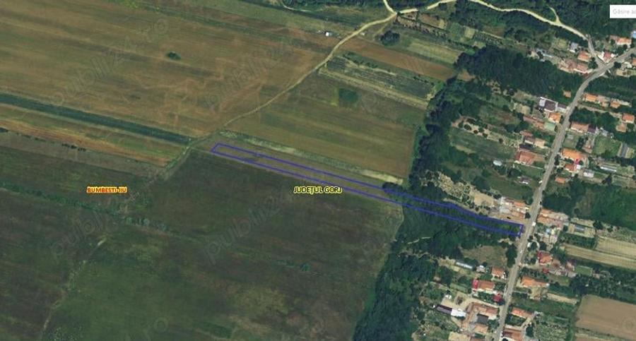 Teren de 11137 mp, în Curtișoara