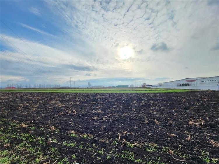 Vanzare Teren pretabil constructie hale, 28.100 mp, Halchiu - 6