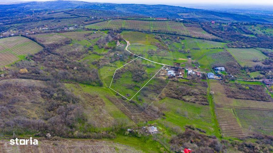 Teren 33.500 mp-Valea Orlei, Prahova/ COMISION 0% - 3