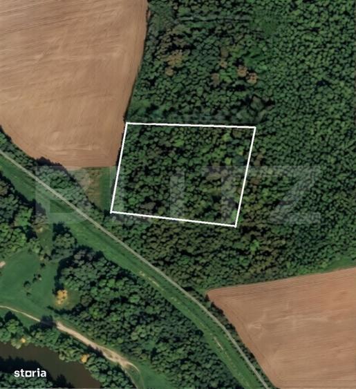 Parcela 10.000 mp la liziera padurii, ?ag front stradal 40m - 1