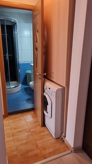 Berceni, Luica, stradal - 4