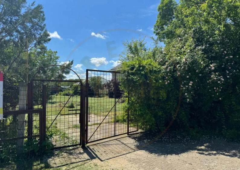 Teren Snagov Ideal pentru dezvoltare reziden?iala sau - 3