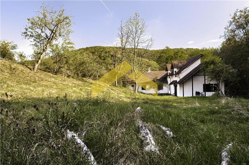 Casa cu padure de vanzare in Savarsini - 13