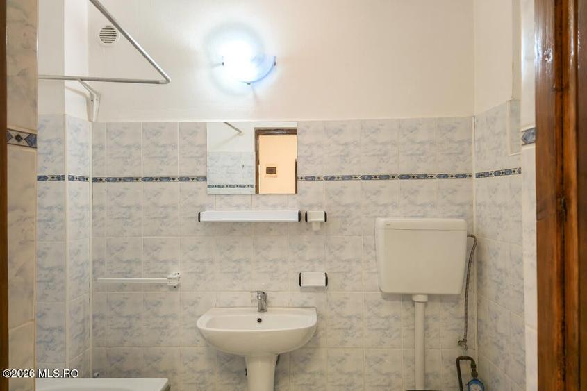 Lunei - Ion Neculce, 2 Apartamente. Mansarda 157 mp. Anexe, Lot 475 mp - 7