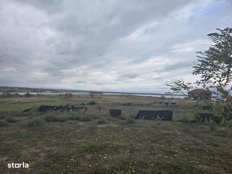 Teren de vanzare in Palazu Mare - 3
