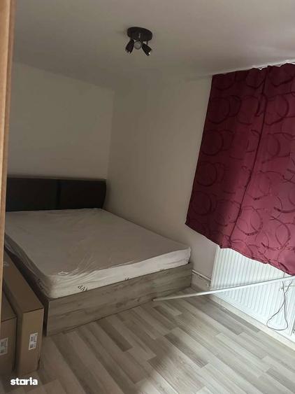 Proprietate cu 2 case in Gura Vaii la doar 10 km de Dr. Tr. Severin - 10