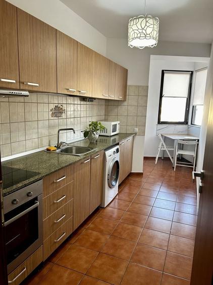 Garsoniera de inchriat, Proprietar - 8