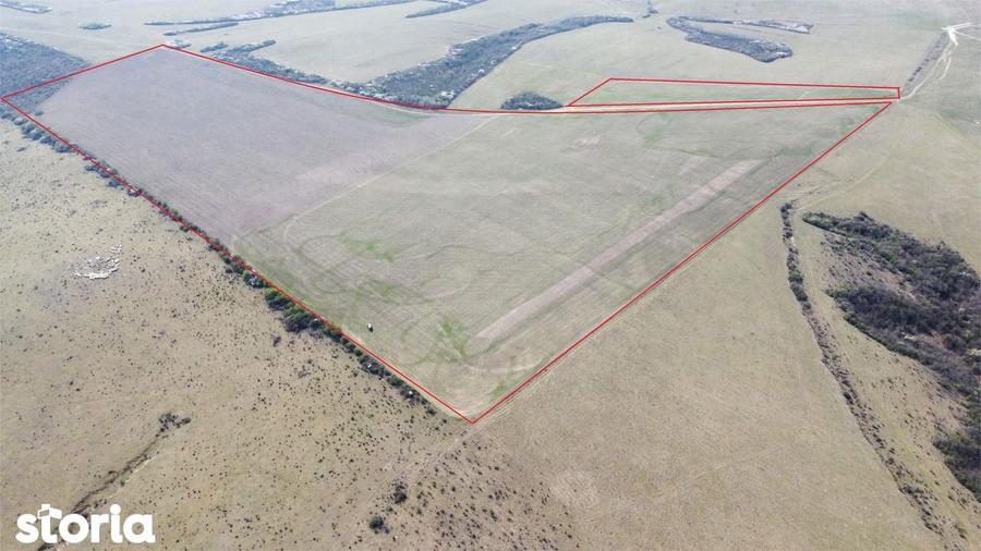 Teren 26.82 ha Ardud | Oportunitate pentru dezvoltare - 1