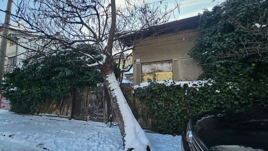 Teren patrat, strada linistita langa Ciuperca Domenii - 9