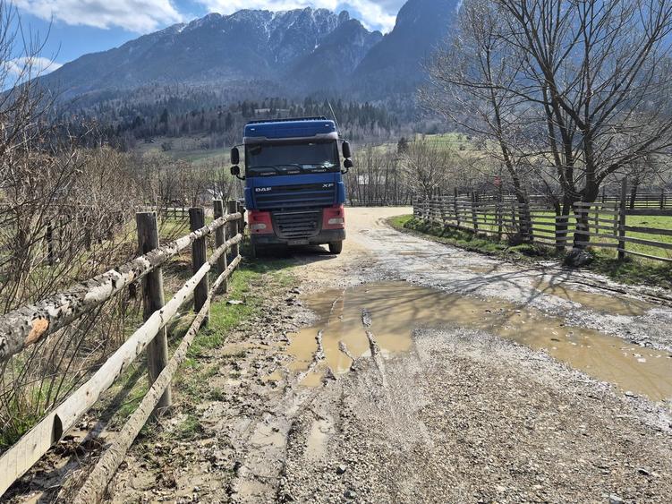 Teren superb intravilan 1200 mp, Plaiul Foii, vedere la munte - 12