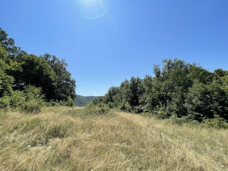 Teren Extravilan &icirc;n mijlocul naturii. - 14