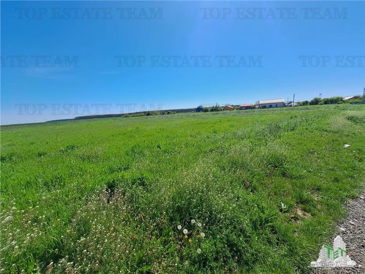 Loturi teren de vanzare Branesti/Vadu Anei - 7