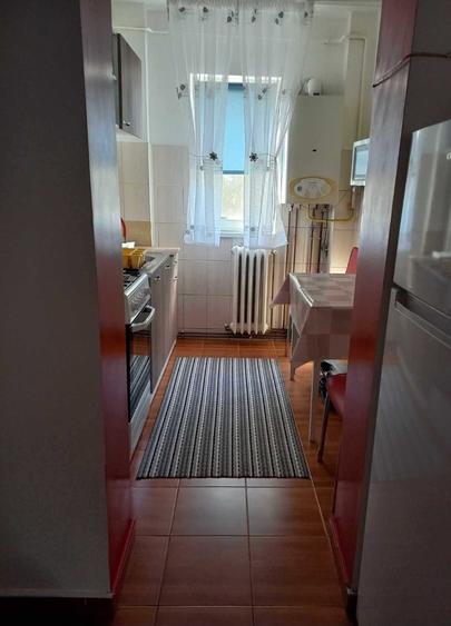 Zimbru 2 camere semi 162022 - 2