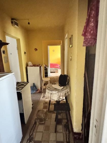 Apartamnet central - 1