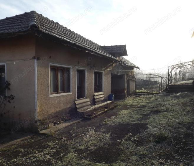 Proprietate compusa din casa batraneasca, casa P+1+M, Pocruia, Gorj - 5
