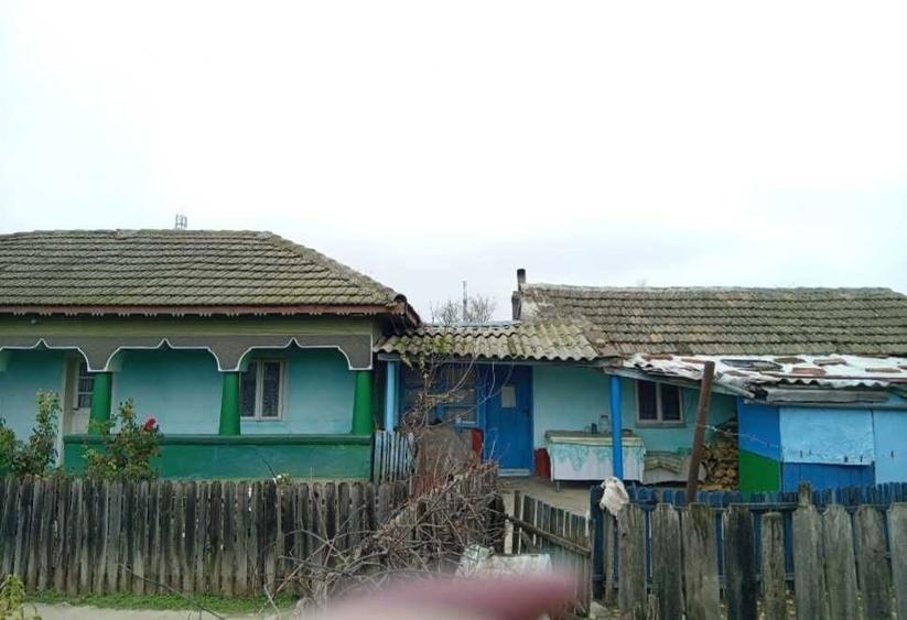 Casa traditionala si teren generos Facaeni, Ialomita - 3