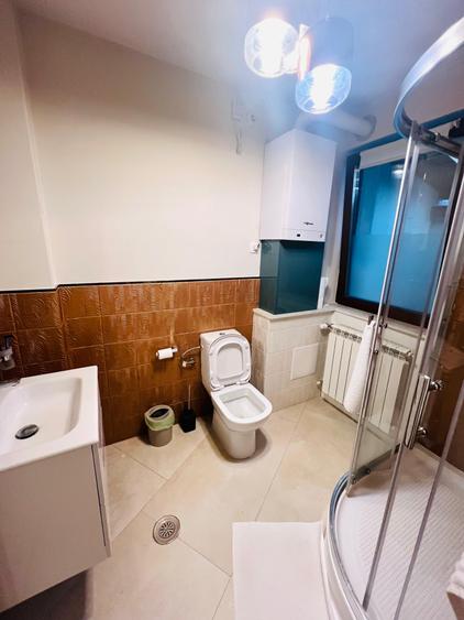 3 rooms for rent-luxury apartment next to  Kiseleff Park - 9