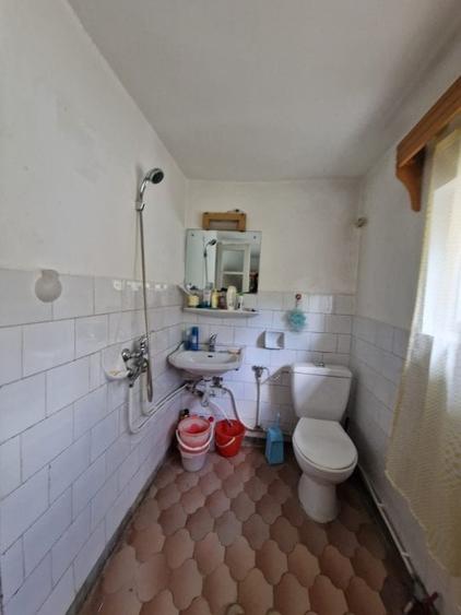 Balilesti - Stradal, casa spatioasa, 4600 mp teren intravilan - curte spatioasa - 17