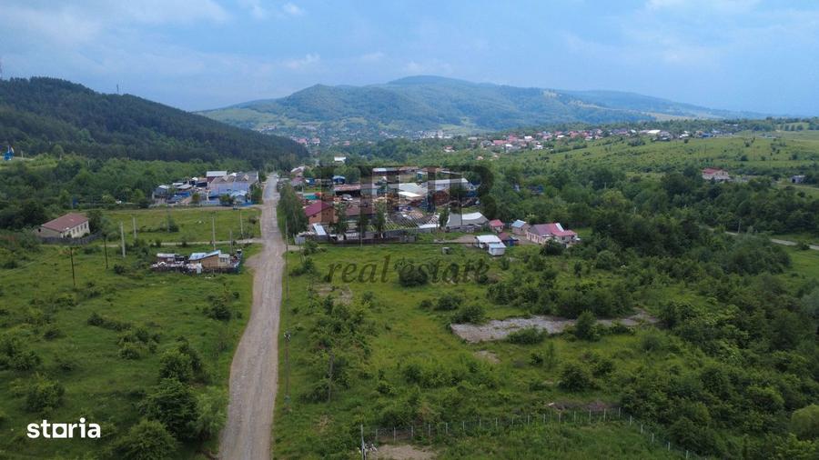 Teren intravilan curti constructii in Moinesti/Bacau - de vanzare - 1