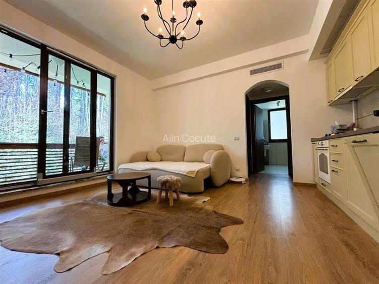 Apartament 2 camere, modern, langa partia de schi Apartament 2 camere, modern, langa partia de schi