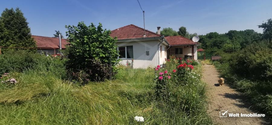 Casa individuala cu gradina frumoasa, teren mare Moldovenesti-Cluj - 4