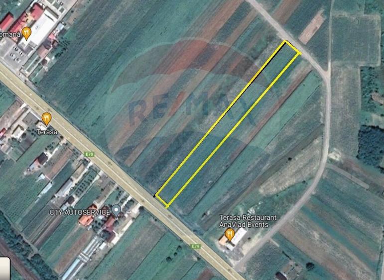 Teren 4 948 mp Bradesti / Racarii de Jos - 5