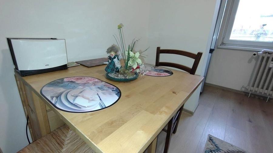 Apartament cochet de 3 camere, etaj 2/4, Grigorescu, Alexandru Vlahuta - 21