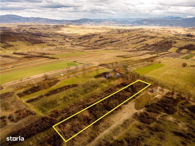 RECO Teren intravilan Zona Vadu Crisului Bihor - 3