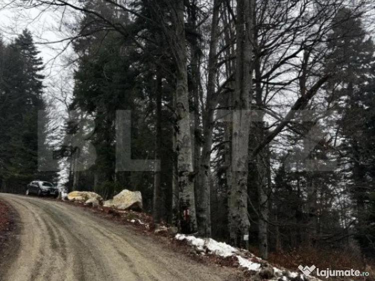 Teren unic, exclusivist 4000 mp, in inima muntilor, Sinaia - 6