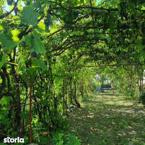 Vand Casa P+M in comuna Rachiti - 3