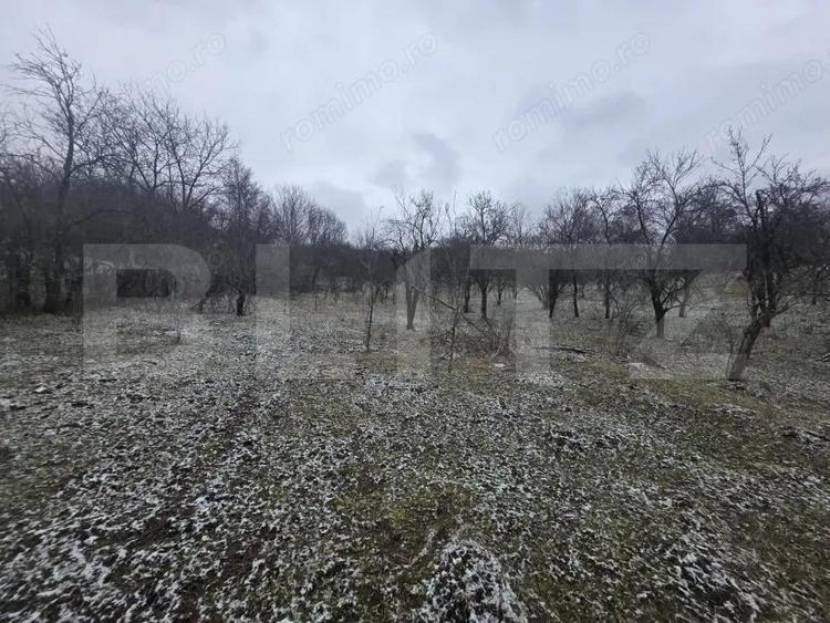 Teren intravilan, 9066 mp, zona Aninoasa - 7