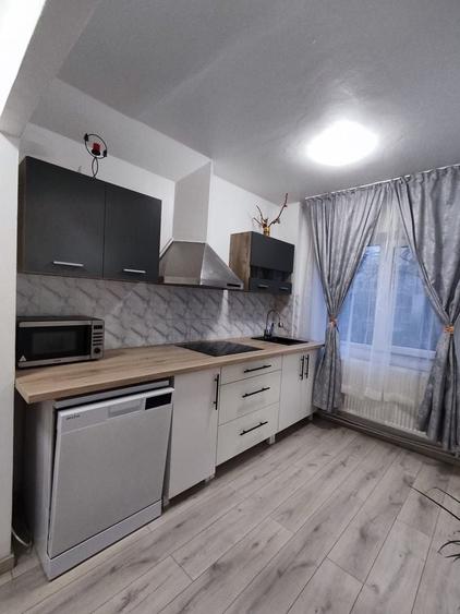 Vand Apartament Orsova - 5