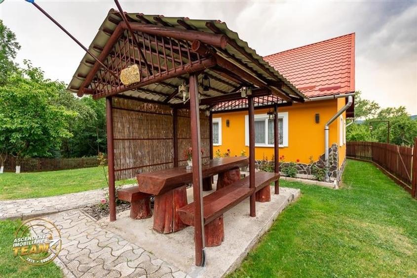 FILM&3D! Doua case cu:piscina,foisor,arbori decorativi,1.700mp teren,Lutoasa,Cov - 9