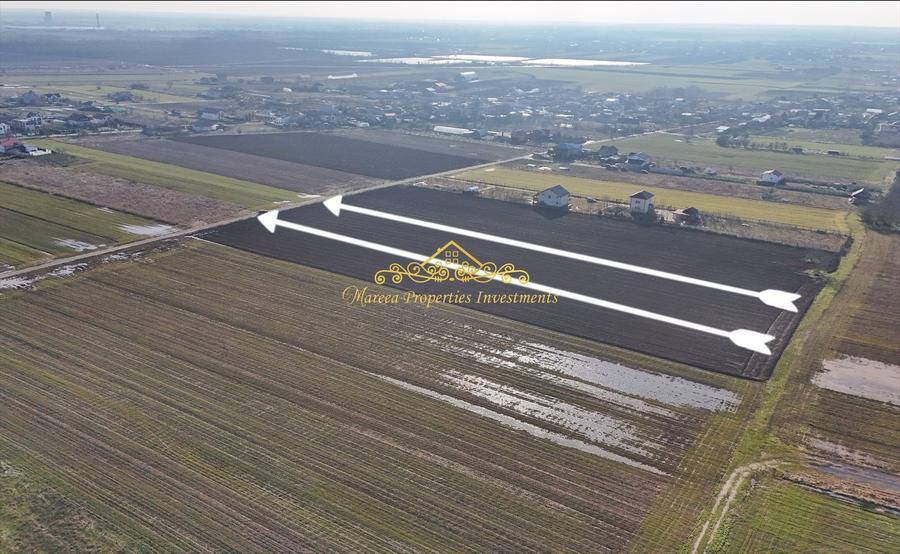 Teren intravilan case 10.000 mp, Str Sportului, Ulmi - 4