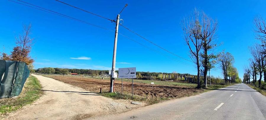 Teren 5 lot x 500 mp Ciolpani Izvorani-Intravilan construibil -- - 3