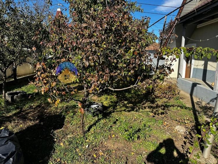 Casa + teren 919 mp – Dumbrava Rosie, jud. Neamt - 4