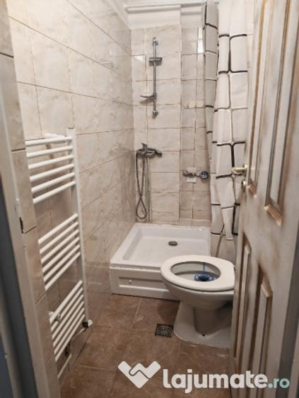 Apartament 1 camerta confort de inchiriat Str. Horea - 4
