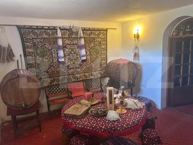 Casa cu incalzire in pardoseala si 17.000 mp teren, sat Oboga - 19