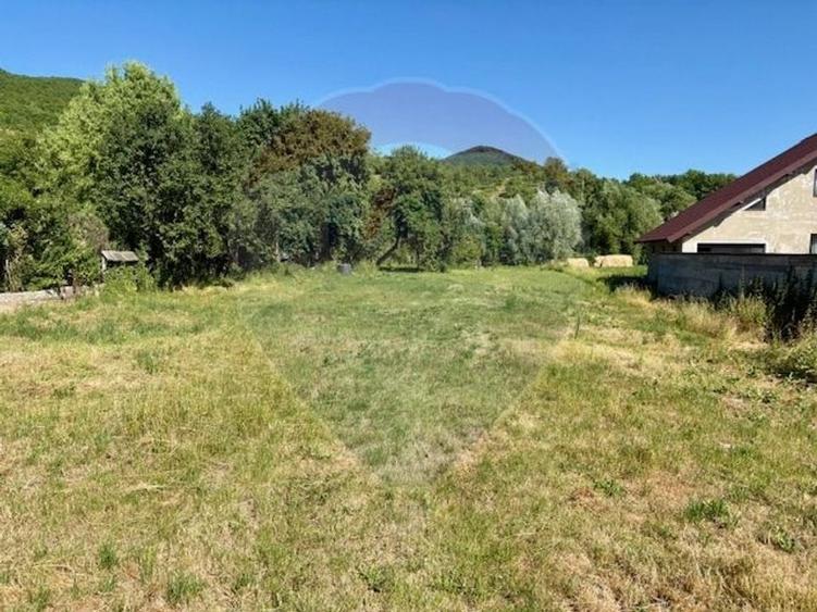 Teren 3,154mp Barsana / Intrarea principala - 7