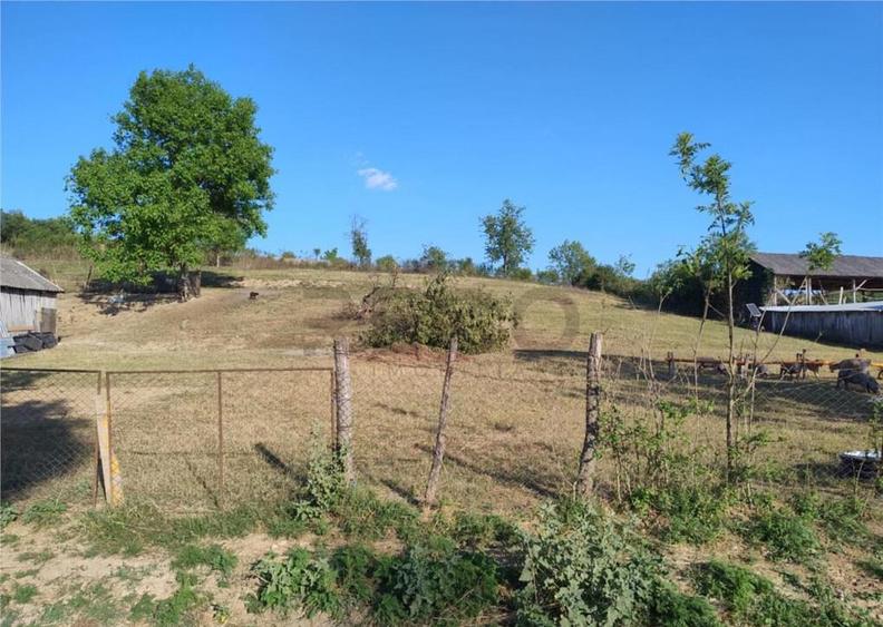 RECO Casa 4 camere, Uileacul de Beius - 1