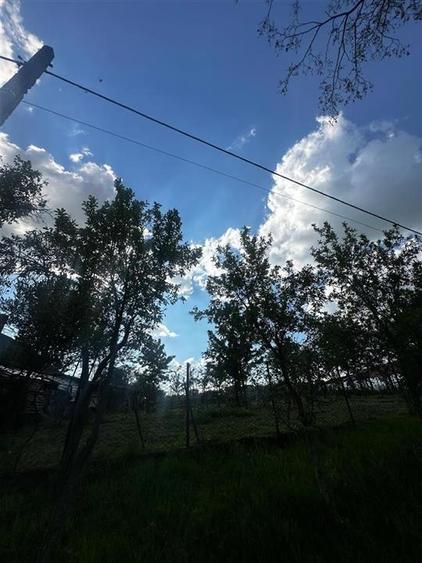 Reco Teren intravilan Lugasu de Sus, Bihor - 2